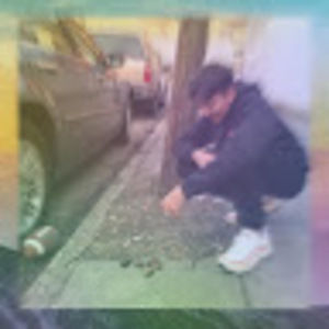 Meet your Posher, Shane